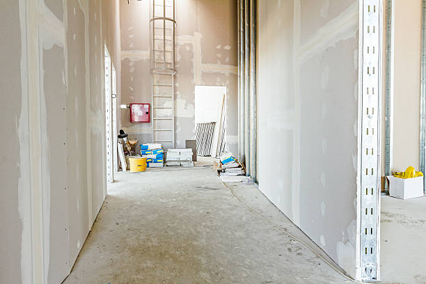 Best Basement Mold Removal  in Libby, MT